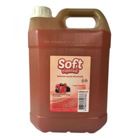 SABONETE LIQUIDO FRUTAS VERMELHAS 5 L        