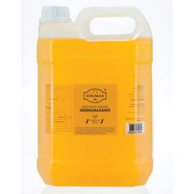 SABONETE LIQ DESENGRAXANTE P/MAOS 5L         