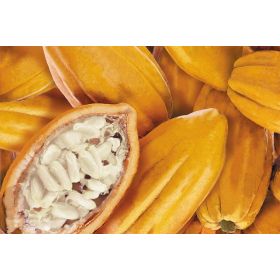 POLPA DE CACAU 10X100G  (UNIDADE)